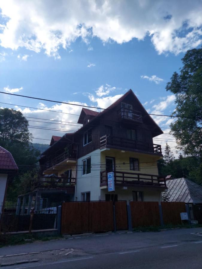 אזוגה Pensiune Casa Barcaru מראה חיצוני תמונה